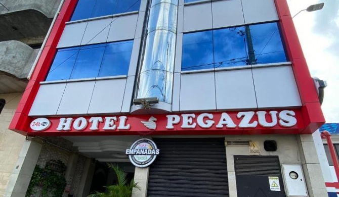 Hotel Pegazus